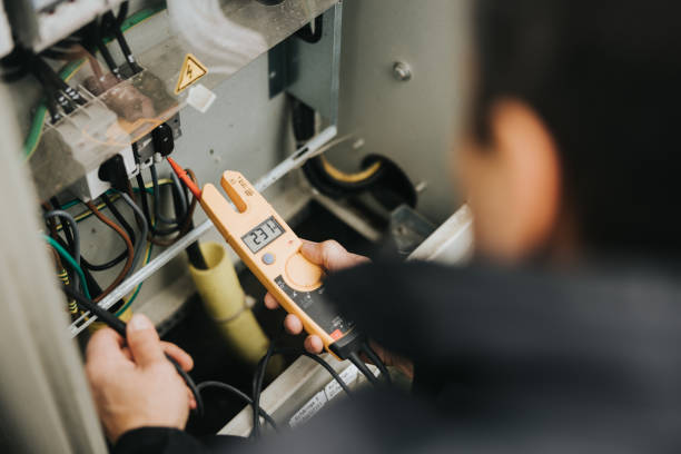 Best Electric Panel Repair  in La Homa, TX
