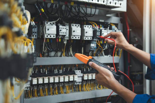 Best Electrician for Home Renovation  in La Homa, TX