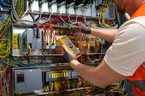 Best Electrician for Home Renovation  in La Homa, TX