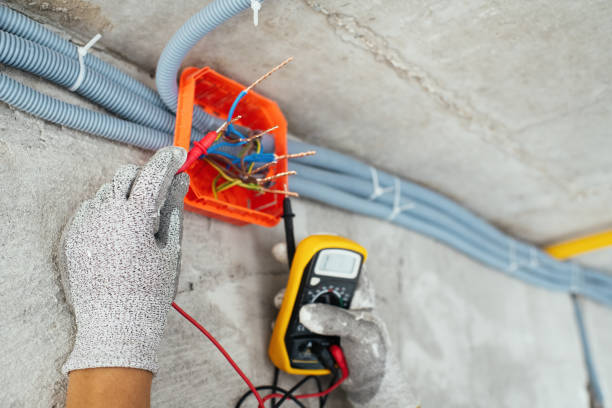 Best Electrical Contractors for Businesses  in La Homa, TX