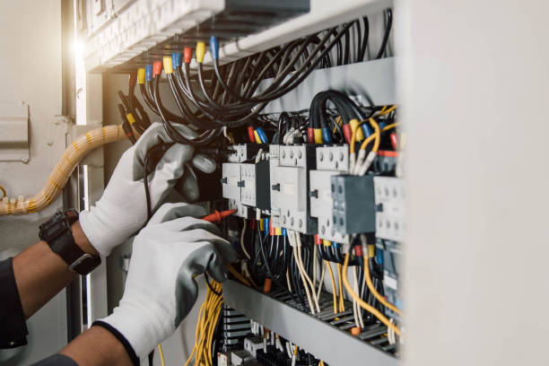 Best Ceiling Fan Installation Electrician  in La Homa, TX