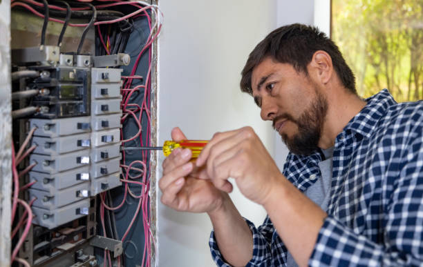 Best Affordable Electrician  in La Homa, TX
